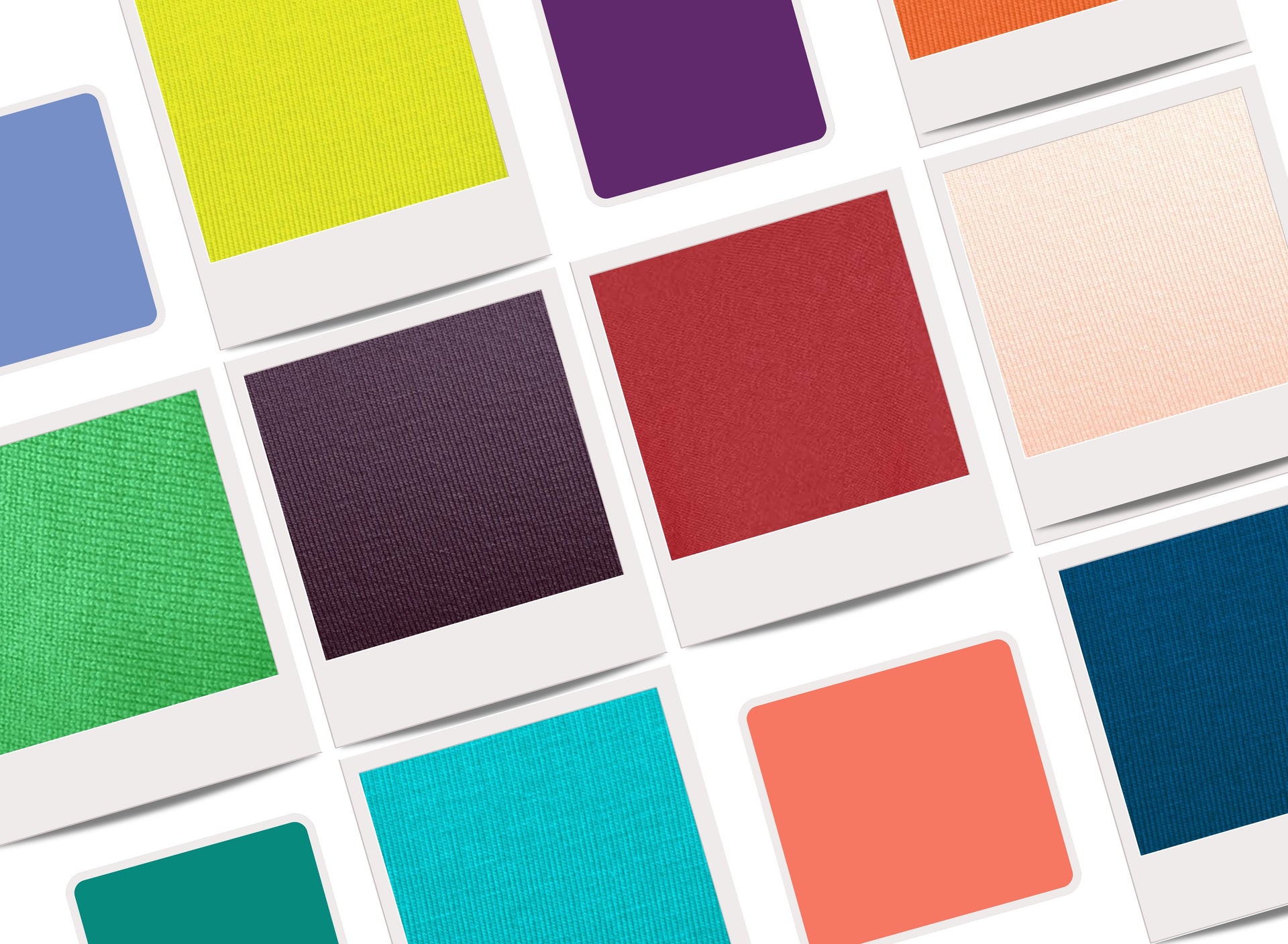 Shop Autumn | Warm & Rich Seasonal Color | The Color Collab