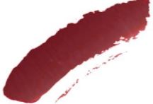 117 House of Colour - Soft Sangria Liquid Matte Lip