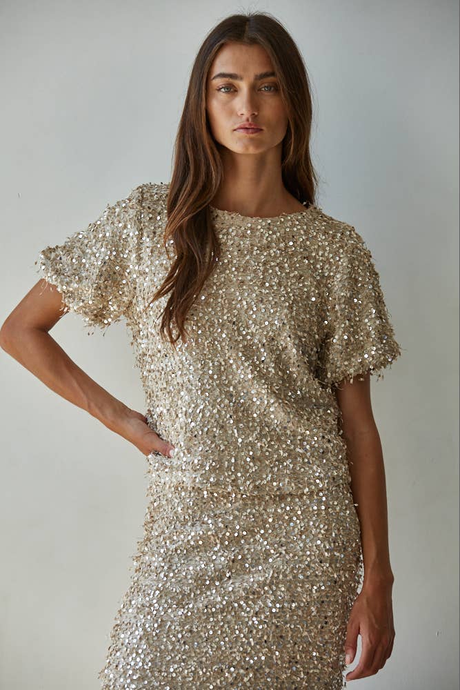 Sequin Round Neck Short Sleeve Top Large