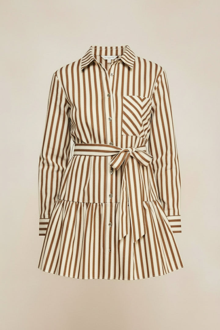 Striped Button Down Mini Dress - The Color Collab