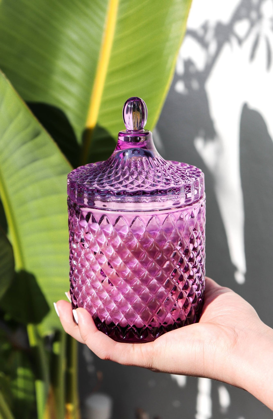 Vanilla Orchid + Cedarwood | Everest Collection - The Color Collab